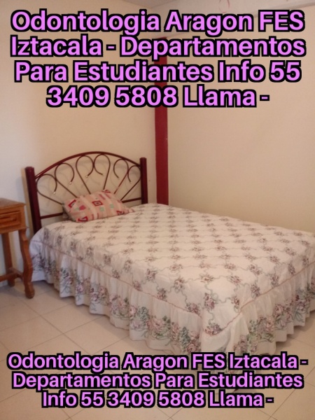 Fes Aragon; renta para estudiantes fes aragon; tese; uneve; odontologia aragon unam; odontologia fes aragon; upiicsa; ipn zacatenco; ipn ticoman; odontologia fes iztacala aragon; fes aragon; 