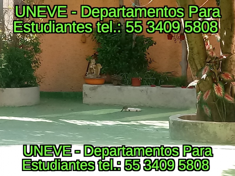 Renta para estudiantes; alojamiento para estudiantes; hospedaje estudiantes; cuartos para estudiantes; departamentos para estudiantes; habitaciones para estudiantes; recamaras para estudiantes; fes aragon; tese; tec ecatepec; uneve; universidad ecatepec; clinica odontologica aragon; odontologia unam; clinica odontologica fes aragon; odontologia iztacala; UPN 153; dormitorios para estudiantes;  upiicsa; ipn zacatenco; ipn ticoman; 